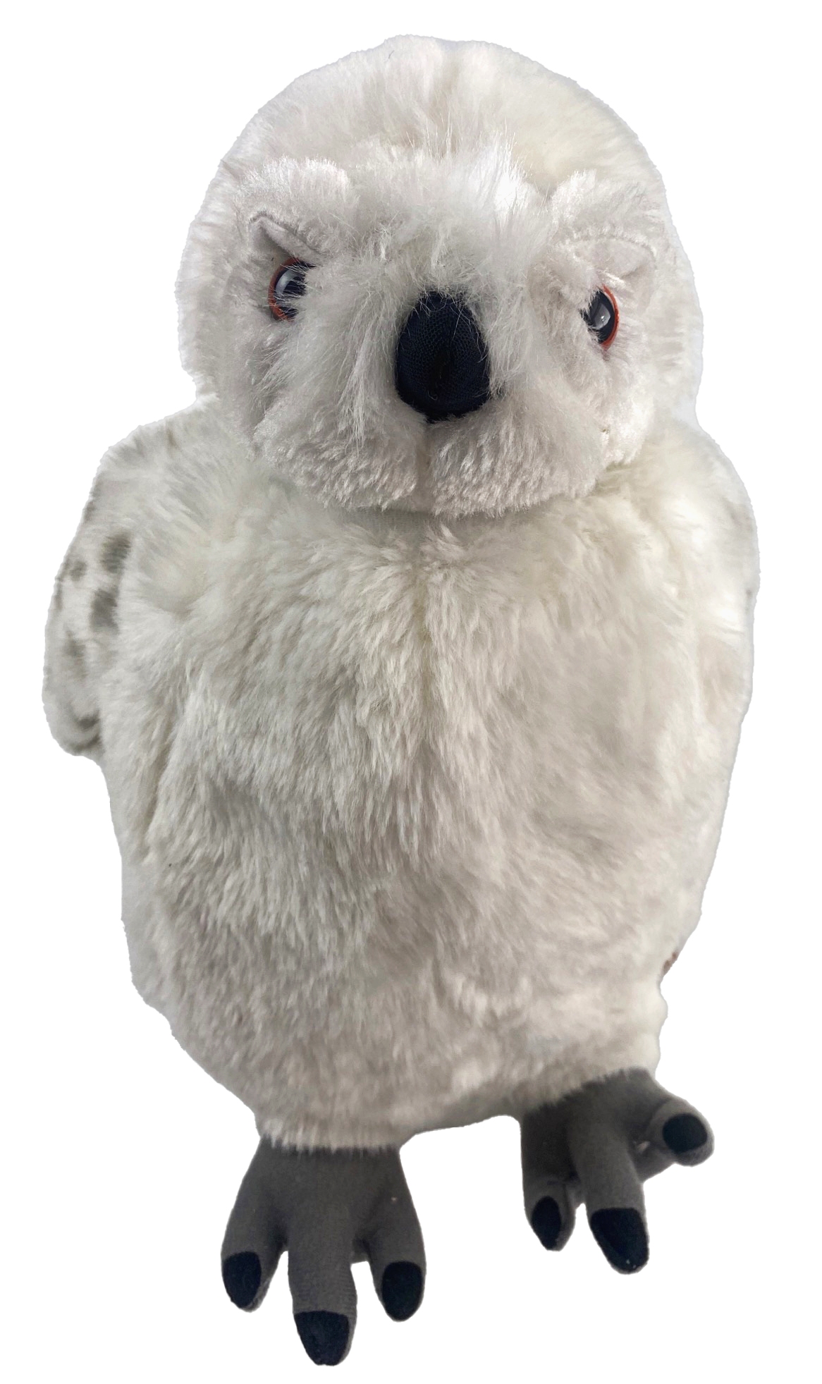 Harry Potter Plush Toys: Hedwig Toys and Much More